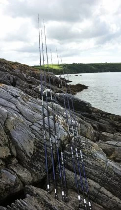 Shakespeare Agility Sea Spinhengel